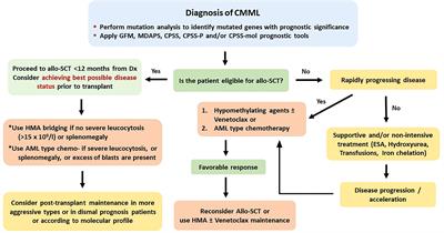 Allogeneic Hematopoietic Stem Cell Transplantation for Mixed or Overlap Myelodysplastic/Myeloproliferative Disorders